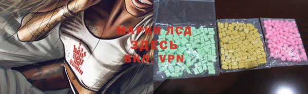 apvp Гусев
