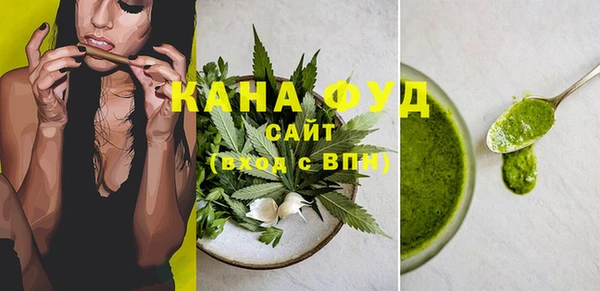 apvp Гусев