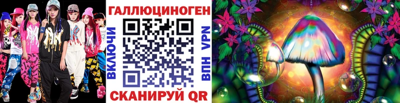 Галлюциногенные грибы Psilocybine cubensis Приморск