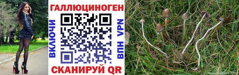 Галлюциногенные грибы Magic Shrooms  мориарти наркотические препараты  Приморск  OMG вход 